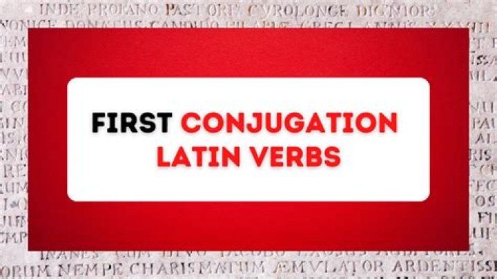 How do you say first in different languages?