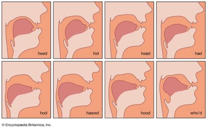 How do you say tongue in different languages?