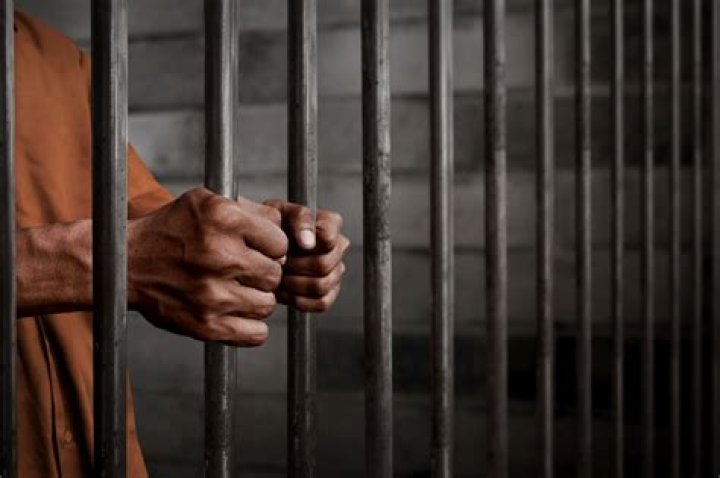 How do you see if someone is in jail in Michigan?