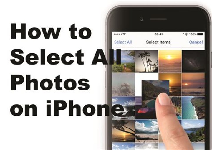 How do you select all on iPhone?