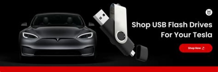 How do you set up a Tesla flash drive?