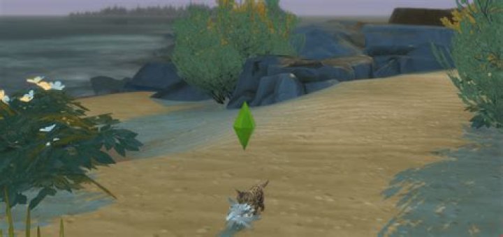 How do you simulate hunting for cats?