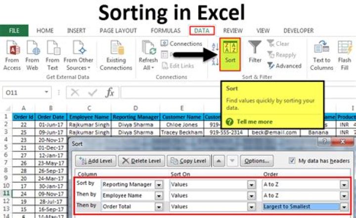 How do you sort by highlighted cells in Excel?