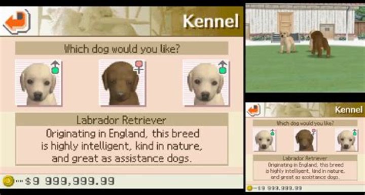 How do you start over on Nintendogs?