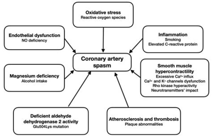 How do you stop coronary artery spasms?