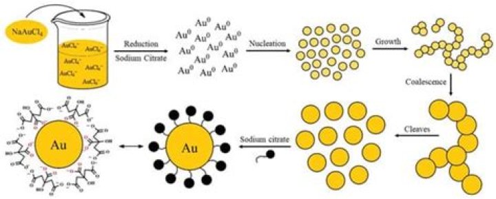 How do you synthesis gold nanoparticles?