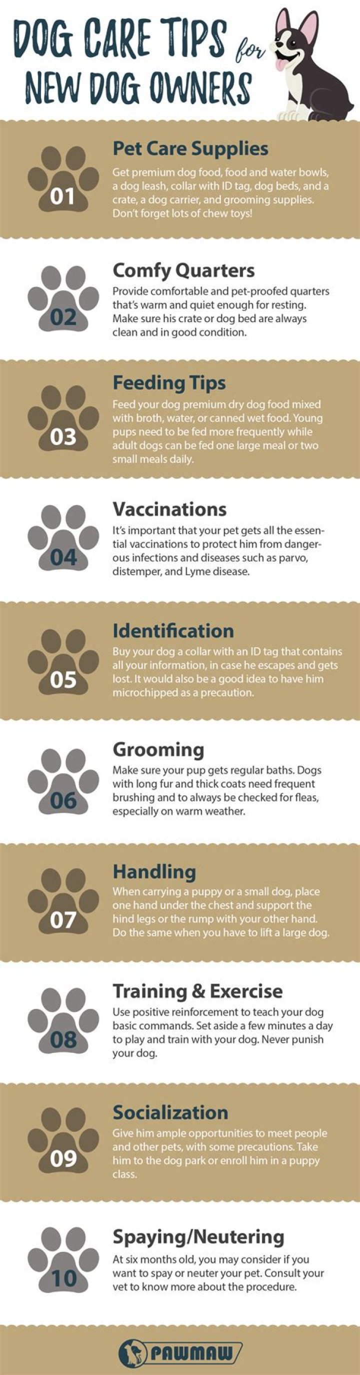 How do you take care of a Caucasian dog?
