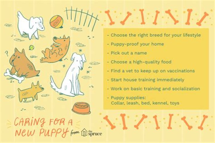 How do you take care of a puppy if the mother dies?