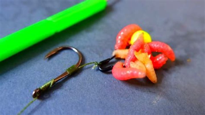 How do you tie maggots on a hair rig?