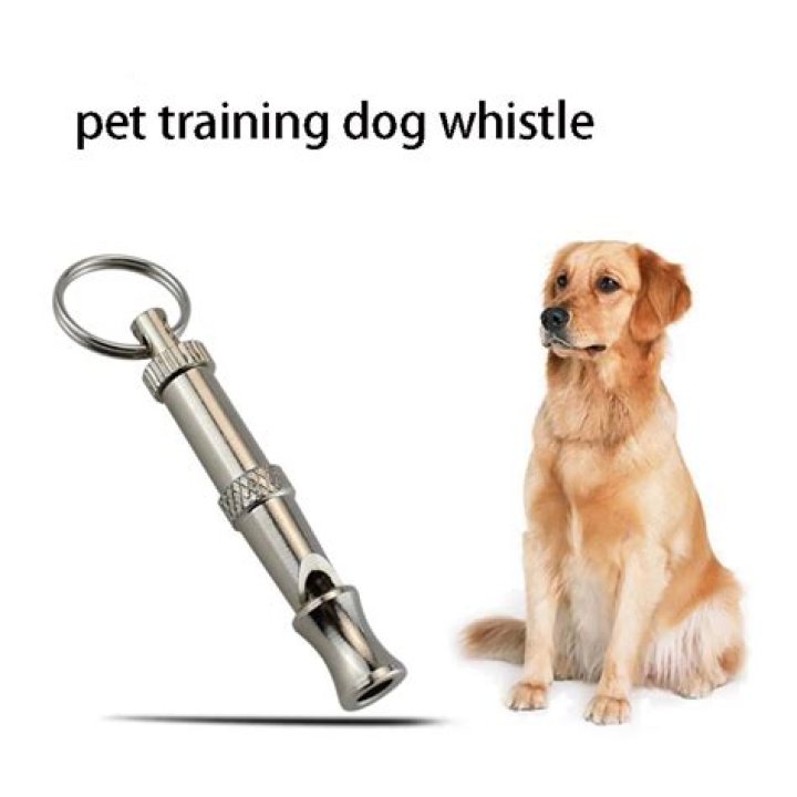 How do you train a dog with a dog whistle?