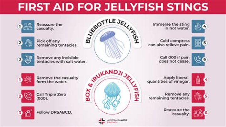 How do you treat a marine sting?