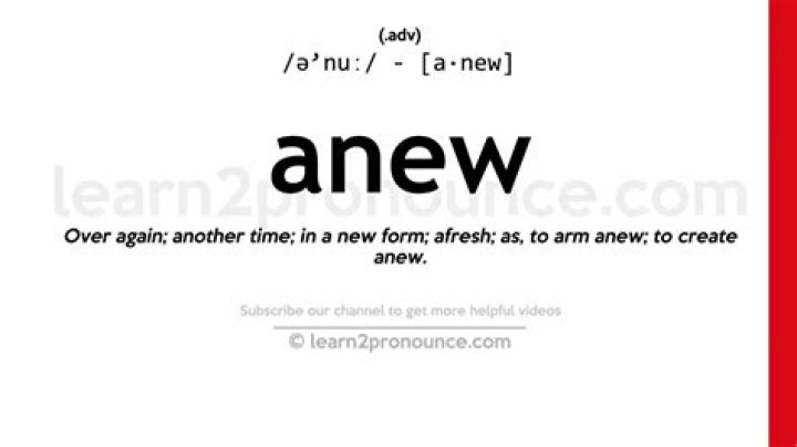 How do you use anew in a sentence?