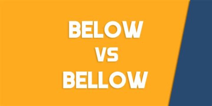 How do you use bellowed in a sentence?