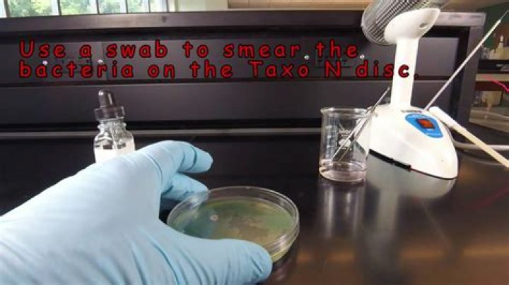 How do you use oxidase discs?