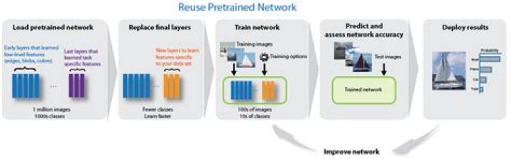 How do you use Pretrained AlexNet?