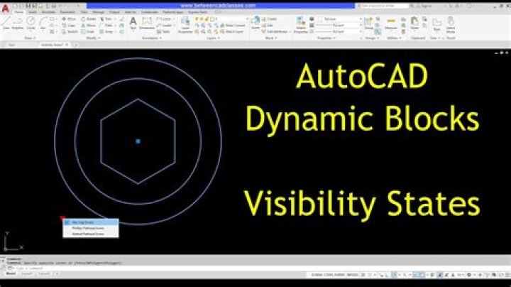 How do you use visibility states in AutoCAD?