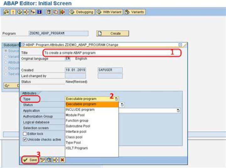 How do you write a program in SAP ABAP?