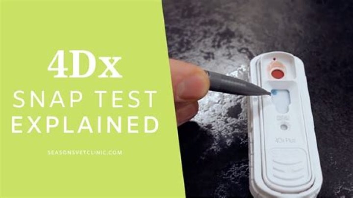How does 4DX test work?