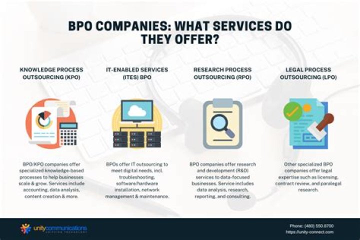 How does a BPO organization work?