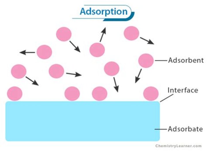 How does adsorption take place?