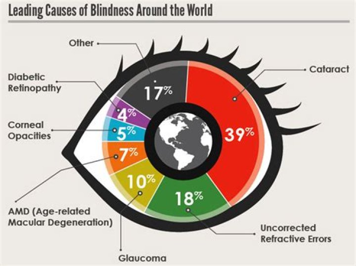 How does blindness affect a person's daily life?