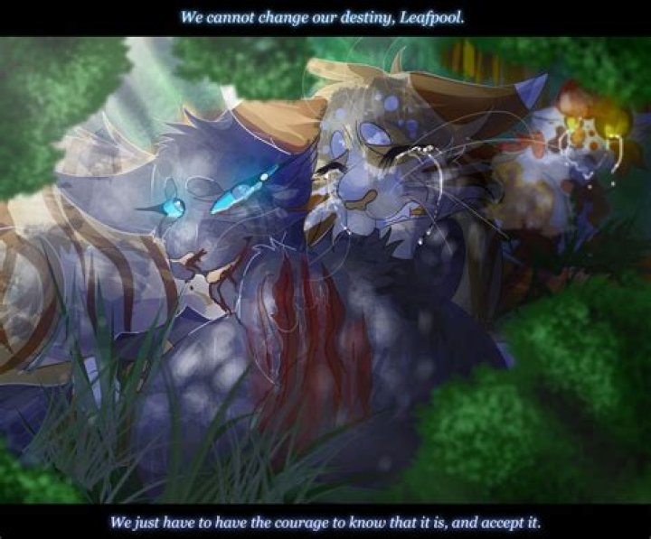 How does Cinderpelt die?