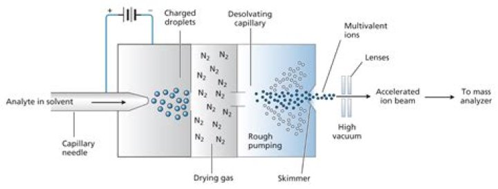 How does ESI Mass Spec work?