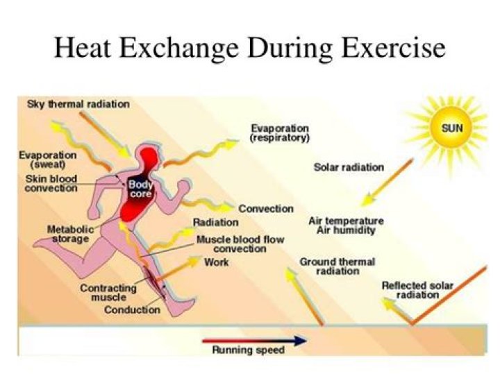 How does exercising in heat affect performance?