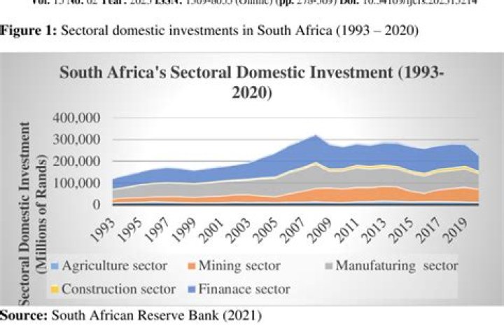 How does financial sector contribute to South African economy?