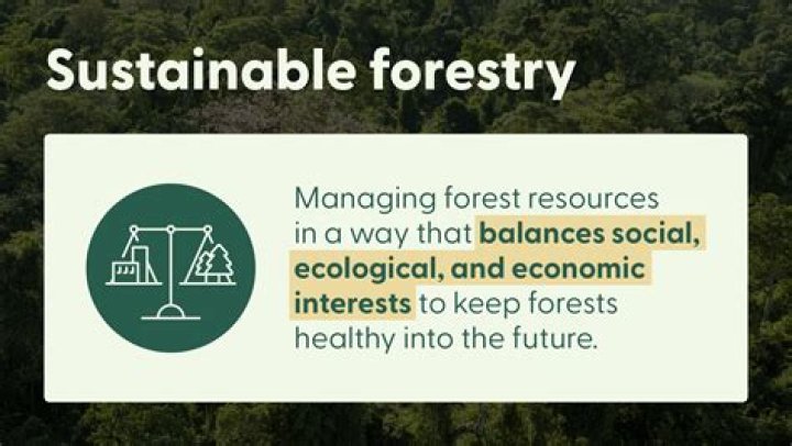 How does forestry benefit the environment?