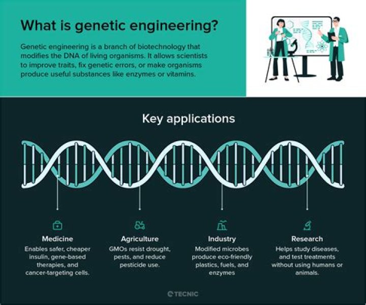 How does genetic engineering affect humans?