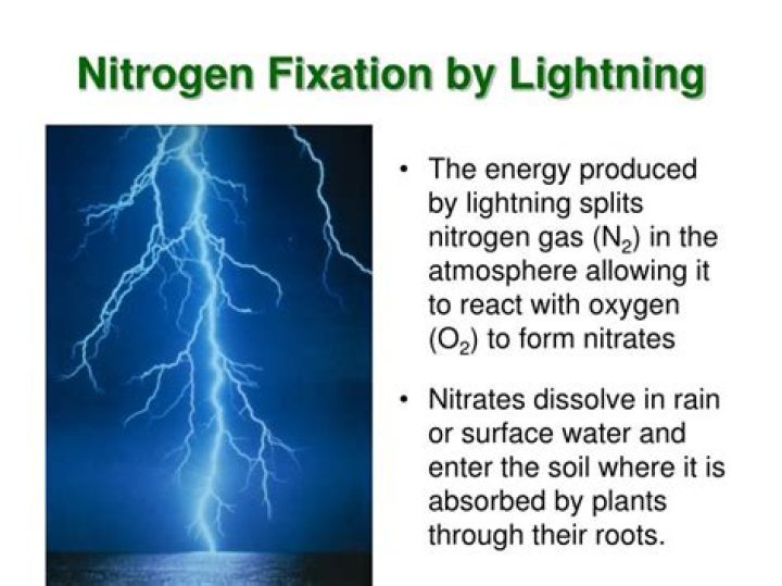 How does lightning fix nitrogen?