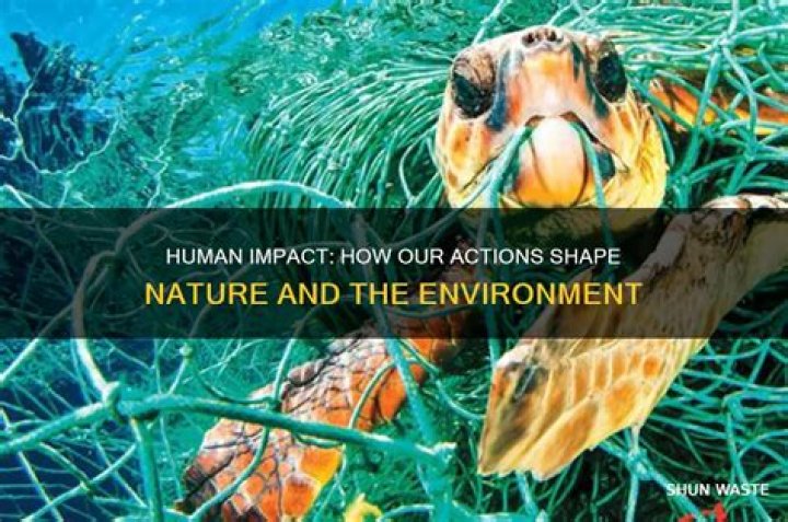 How does man affect nature and environment?