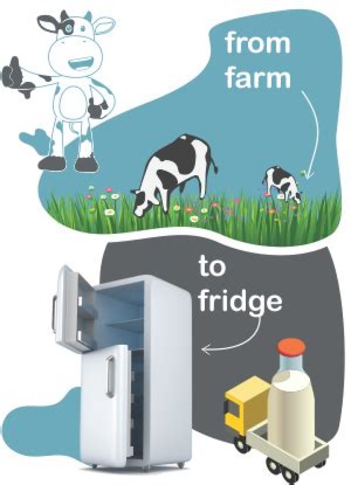 How does milk get from the farm to the fridge?