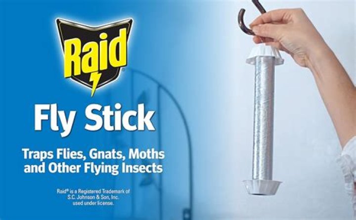How does RAID fly stick work?