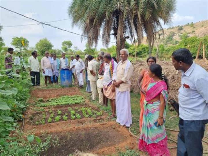 How does rural farming villages impact the environment?