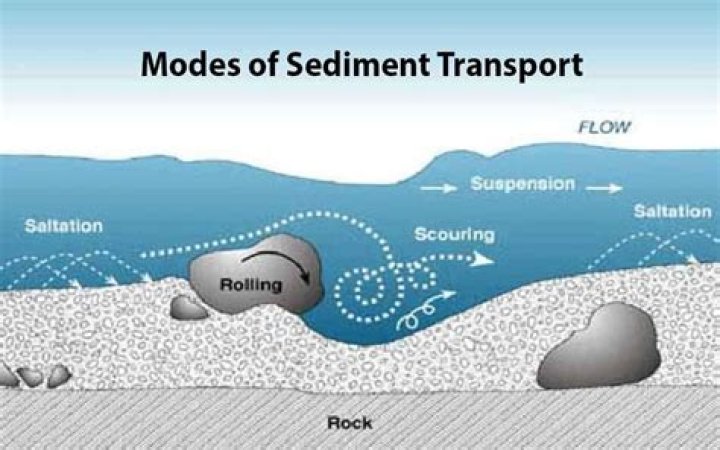How does sediments affect the environment?