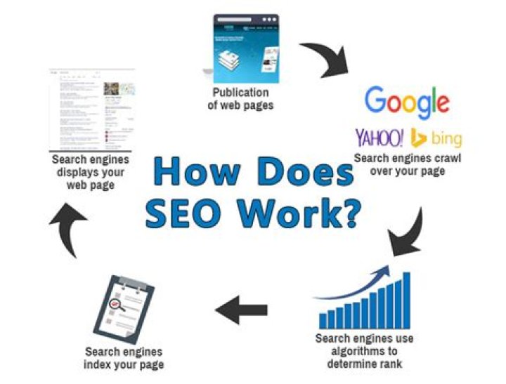 How does SEO 2019 make money?