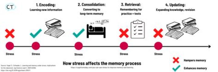 How does stress affect learning and memory?