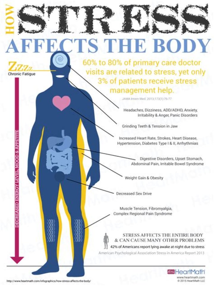 How does stress affect our bodies?