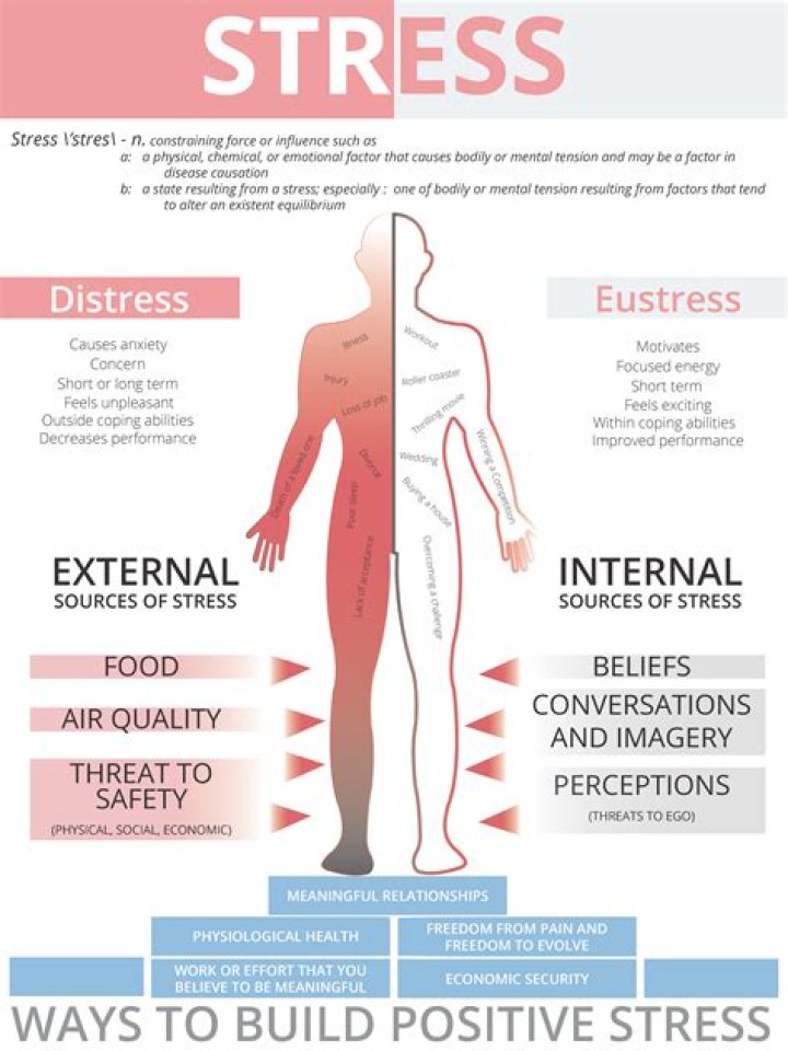 How does stress affect teenager?