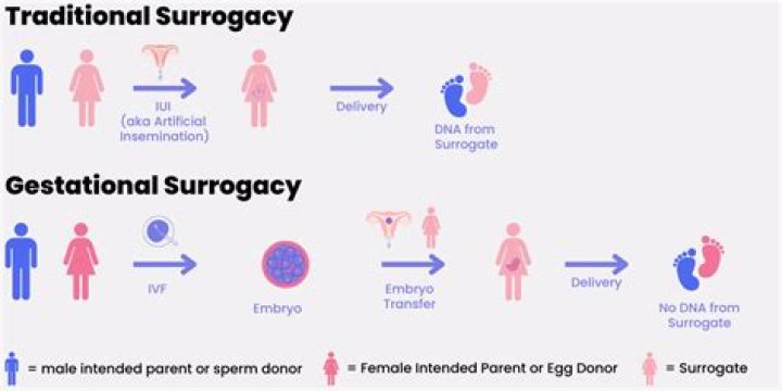 How does surrogacy affect the child?