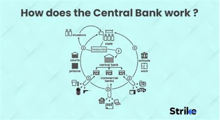 How does the central bank control the commercial bank?