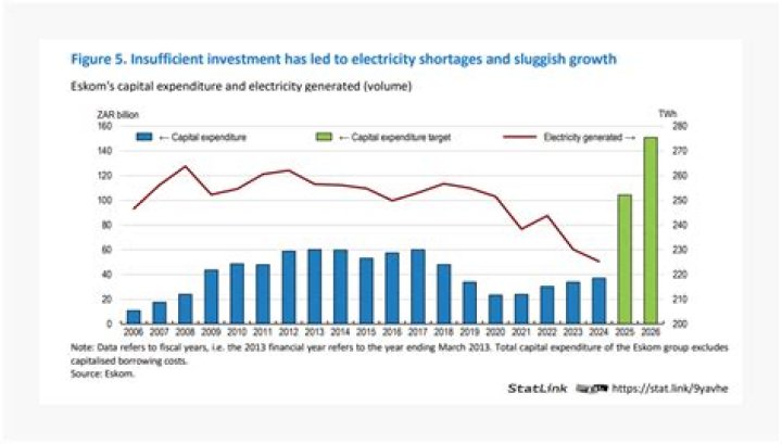 How does the electricity shortage affect the economy?