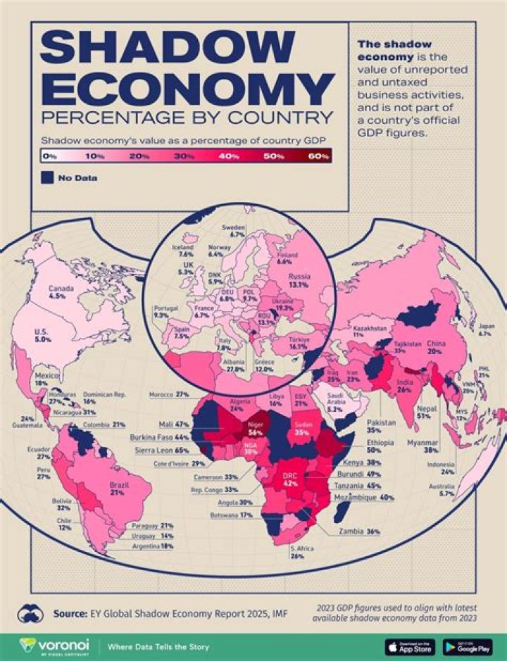 How does the shadow economy affect GDP?