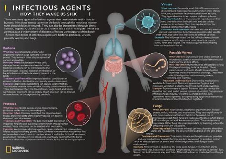 How does the thing infect you?