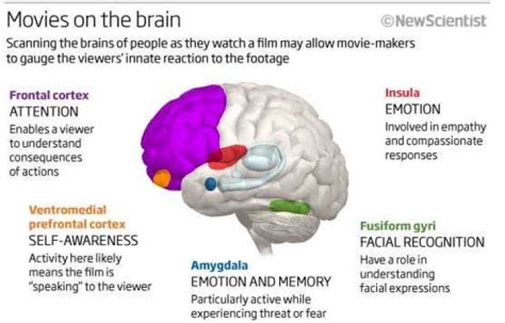 How does watching movies affect the brain?