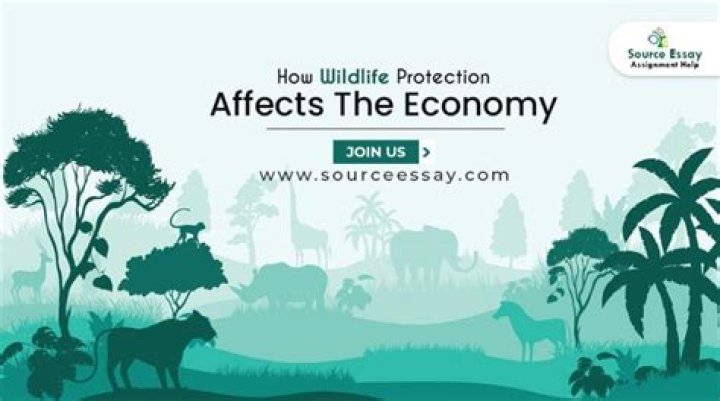 How does wildlife affect the economy?