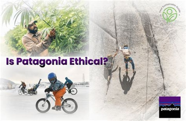 How ethical are Havaianas?