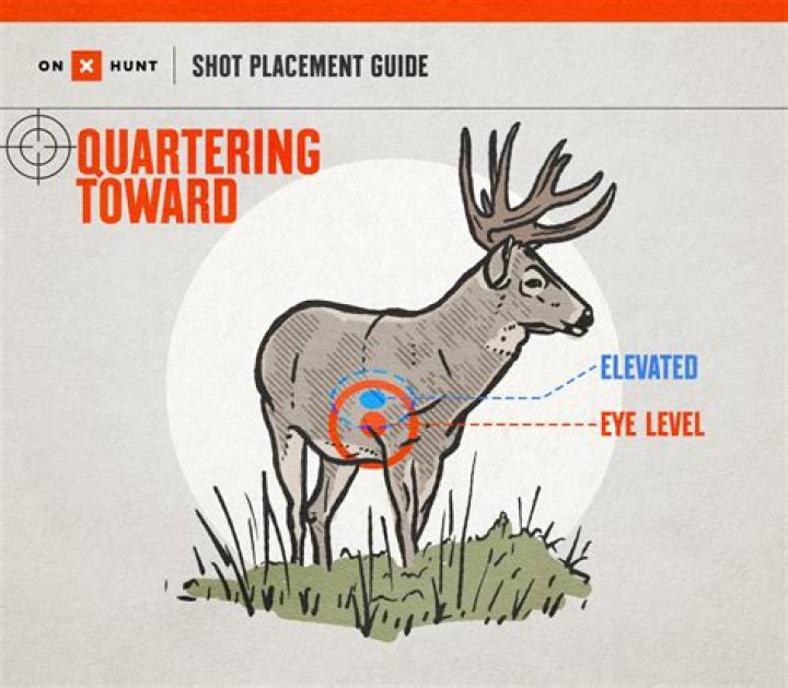How far can you shoot a deer with a slug?